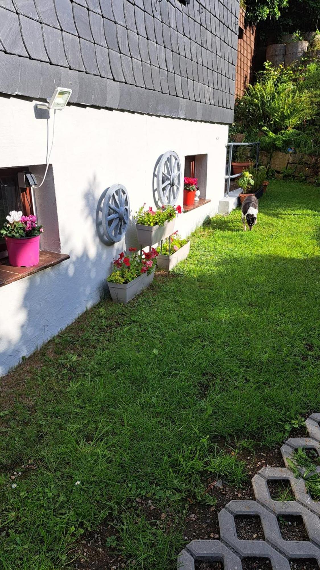 Ferienwohnung Friedrichsruh Braunlage Εξωτερικό φωτογραφία